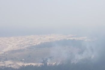 Karhutla hanguskan puluhan hektare lahan empat kecamatan di Kapuas