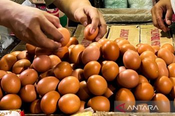 Harga telur ayam Rp29.400/kilogram, bawang merah Rp39.450/kilogram
