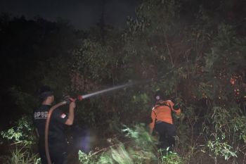 Tim Satgas Karhutla padamkan karhutla di Kecamatan Belimbing Muara Enim