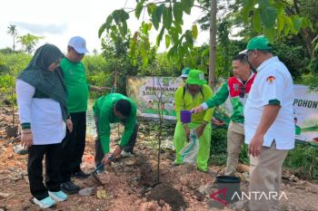 PKB Kalsel dorong penghijauan dan perbanyak pohon di Banjarmasin