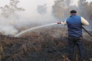 Kadishut Kalteng turun langsung dukung penanganan karhutla di Palangka Raya
