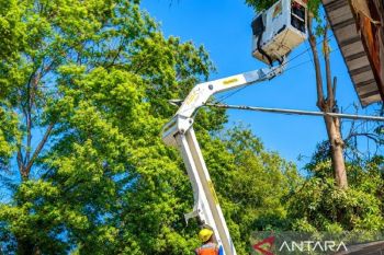 PLN Situbondo pangkas pohon jaga keandalan daya listrik saat HUT RI