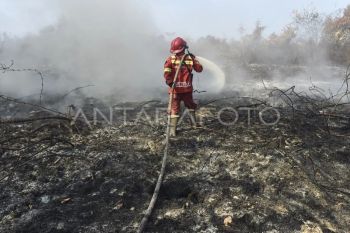 Upaya penanganan karhutla di Muaro Jambi