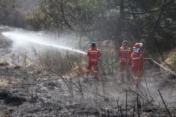 Indonesia steps up Bromo fire checks to prevent new outbreaks