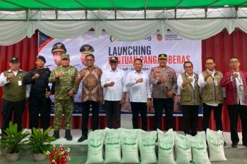 Bulog Maluku-Malut salurkan 1.871 Ton beras bantuan untuk warga Malteng alokasi Juni-Agustus