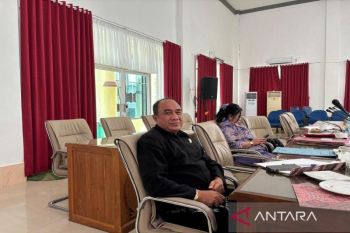 Legislator Barito Selatan dorong penguatan kawasan industri guna tingkatkan PAD