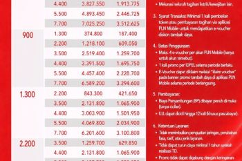 PLN hadirkan promo "Merdeka Day", diskon tambah daya 50% lewat PLN Mobile