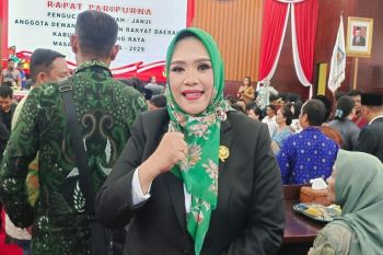 Dina Maulidah dorong pers tetap kritis kawal pemerintahan
