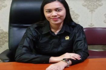 DPRD minta anggaran Murung Raya fokus pada infrastruktur dasar