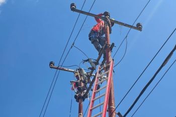 PLN tuntaskan pemulihan sistem kelistrikan Flores pascagempa