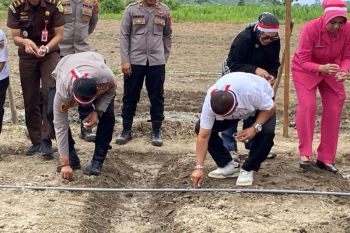 Polisi bantu Parigi Moutong kembangkan komoditas bawang putih