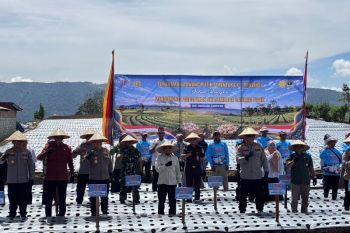 Pemkab Solok percepat swasembada bawang putih melalui perluasan tanam