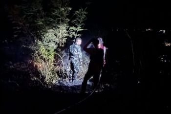 Hutan pinus di Malino terbakar