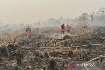 Operasi pemadaman karhutla di Palangka Raya ditingkatkan