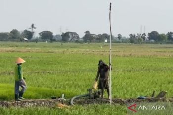 Pemkab Bekasi cegah produksi pertanian turun imbas 1.354 ha sawah terancam kekeringan