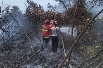 Pemkab Natuna siaga hadapi potensi bencana kekeringan dan karhutla