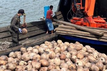 Karantina Kepri libatkan desa awasi lalu lintas komoditas hewan dan tumbuhan di Natuna