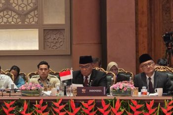 Indonesia calls for collective action on climate change at BRICS forum