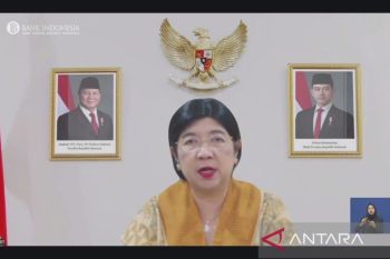 RI's economic growth well-maintained despite global uncertainty: BI