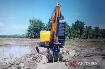 Perbaikan sawah rusak ringan terdampak bencana selesai dikerjakan di Pasaman Barat
