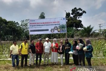 Pendampingan perkuat potensi hortikultura KWT Kirana Tani menuju Pasar Modern