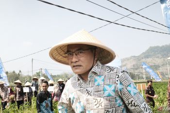 Bupati: Produksi beras di Bantul terus meningkat setiap tahun
