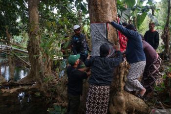 Tradisi metri bumi sumber air di Trenggalek