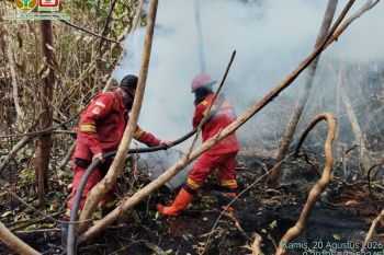47 dari 434 hektare lahan terbakar di Inderagiri Hulu telah dipadamkan