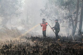 Wika Garap Perluasan Dermaga Utara Batu Ampar