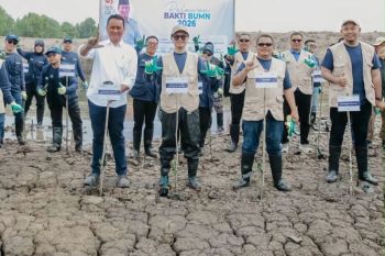 BSI bantu pemulihan pesisir Aceh Tamiang lewat penanaman 15 ribu mangrove