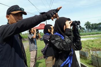 DLH Tulungagung siapkan 10 ribu bibit untuk penghijauan lahan kritis