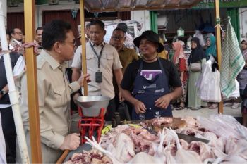 Mendag tekankan pentingnya harga ayam sesuai acuan