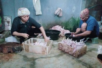 Distan Mataram memperketat pengawasan pemotongan unggas mandiri