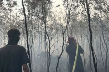 Mayoritas indeks pencemaran udara di pemantauan Sarawak, Malaysia tidak sehat