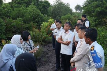 Imigrasi Dumai dampingi Tim Kesekjenan Kemenimipas dan Bappenas RI cek kesiapan Desa Binaan di Pelintung