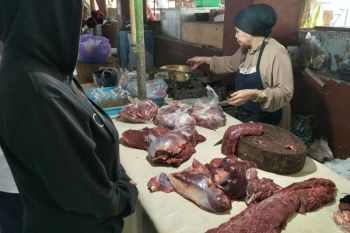 Distan Mataram memastikan pasokan sapi aman jelang Maulid Nabi 1448 H