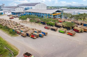 SGN catat realisasi giling tebu semester I capai 3,12 juta ton