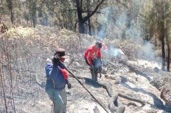 BPBD Jatim siapkan "water bombing" padamkan karhutla Arjuno-Welirang