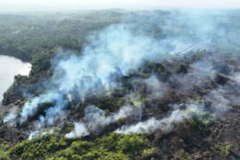 Joint team extinguishes 10.65 ha wildfire in East Kalimantan's Penajam