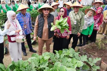 Pengembangan Smart Farming butuh kolaborasi lintas sektor