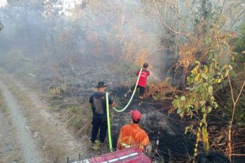 Hetifah ajak perkuat mitigasi karhutla demi keselamatan semua