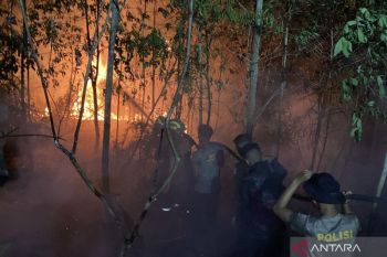 Ditsamapta Polda Kaltara kerahkan 40 personel tangani karhutla