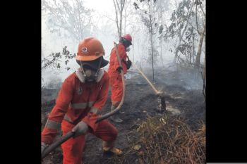 Atasi karhutla Kalimantan, modifikasi cuaca terus dioptimalkan