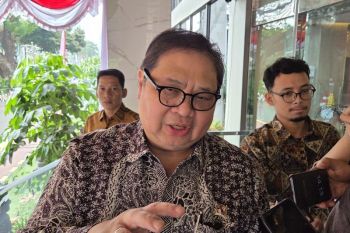 Airlangga ungkap dampak ekonomi akibat karhutla di Kalimantan
