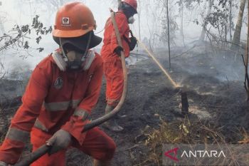 Pemerintah kerahkan 12.880 personel gabungan atasi karhutla