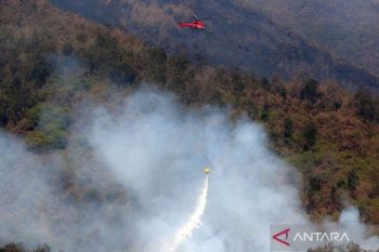 BPBD Jatim pastikan titik api di Gunung Arjuno-Welirang telah padam