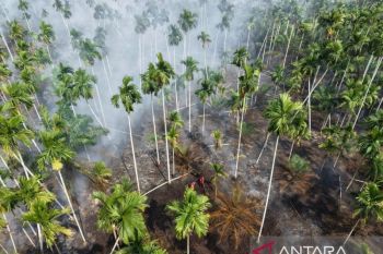 Manggala Agni Jambi padamkan karhutla di kebun pinang Tanjab Barat