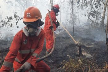 KLH terbitkan instruksi mendesak karhutla untuk enam gubernur