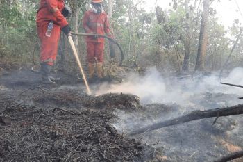 BNPB deploys helicopters for Sumatra and Kalimantan forest fires
