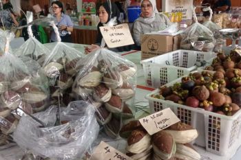 Pelaku UMKM di Lebak tumbuh dan berkembang tingkatkan ekonomi